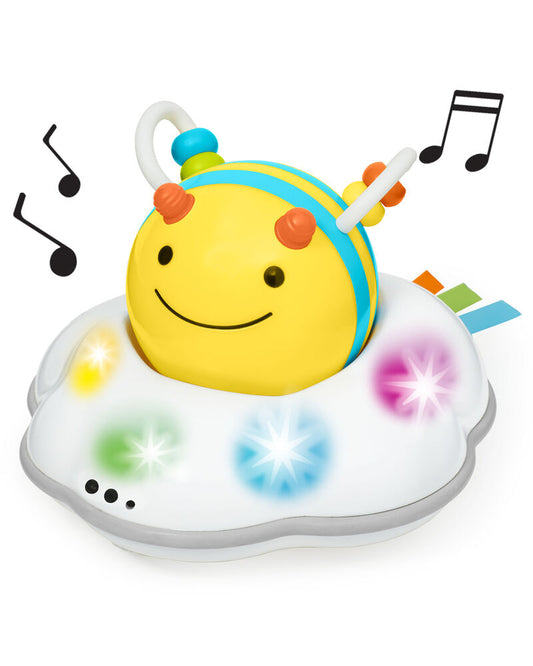 Skip Hop Explore and More Follow-Bee Crawl Toy